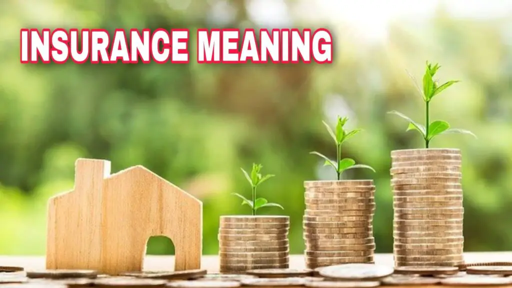 insurance meaning and types
