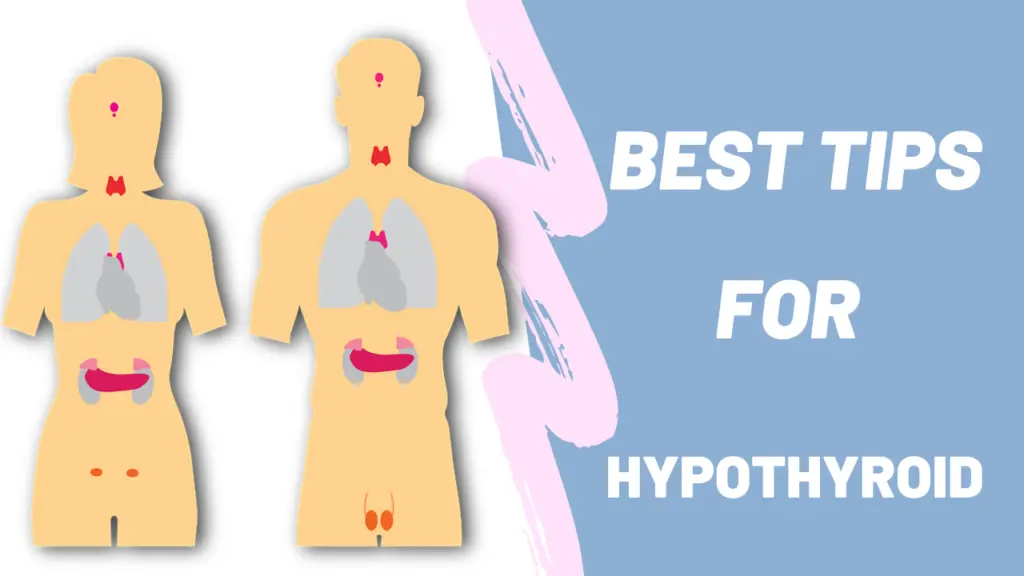 Best Tips for Hypothyroid  Thyroid Problems